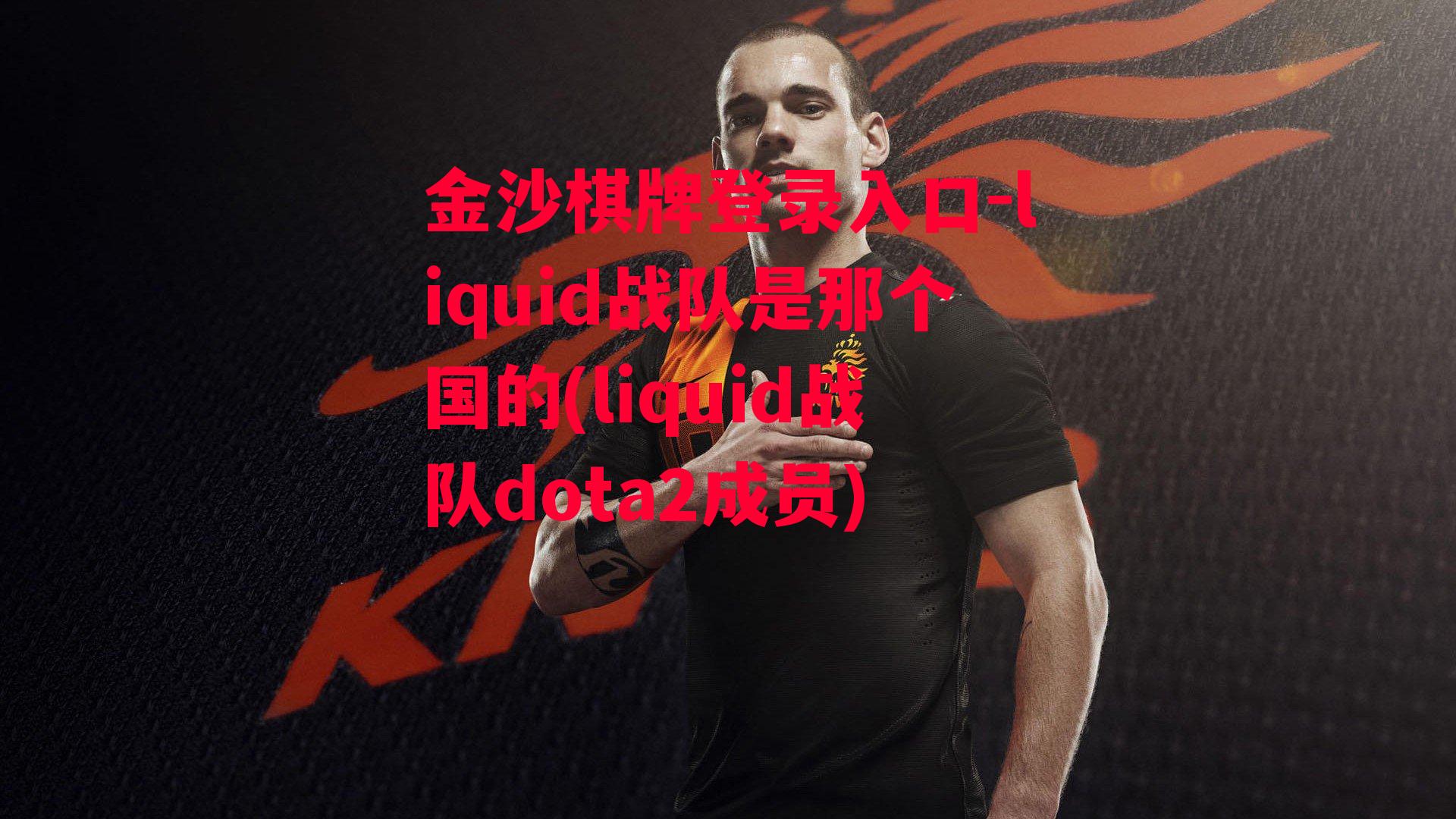 liquid战队是那个国的(liquid战队dota2成员)